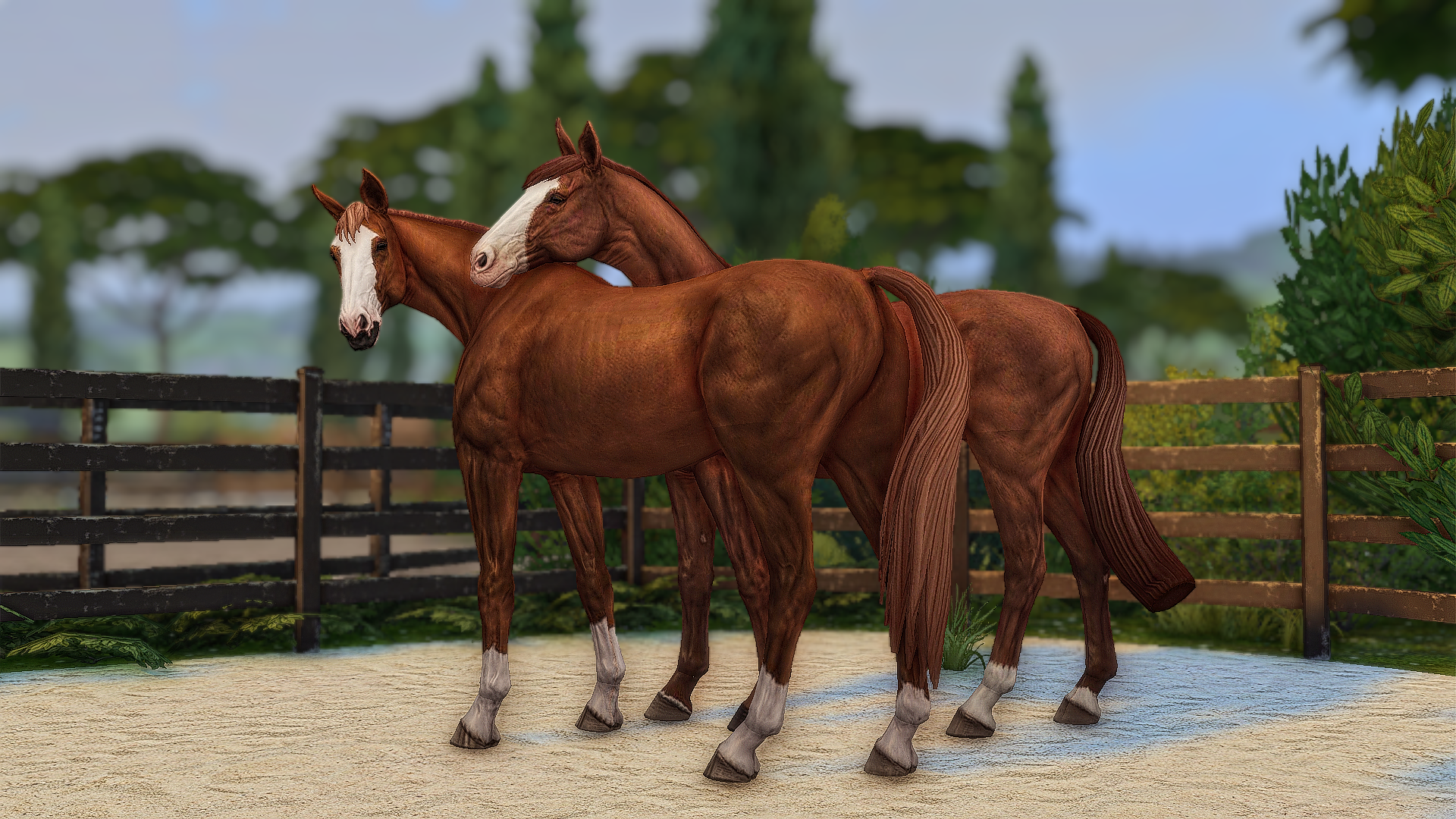 Two chestnut horses standing side by side